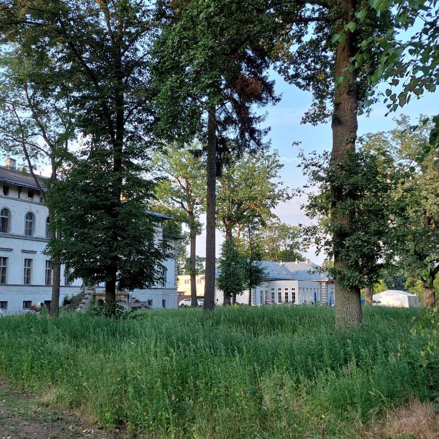 Palac Dabrowka Rawicz Luaran gambar